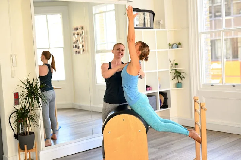 Pilates ladder barrel swan