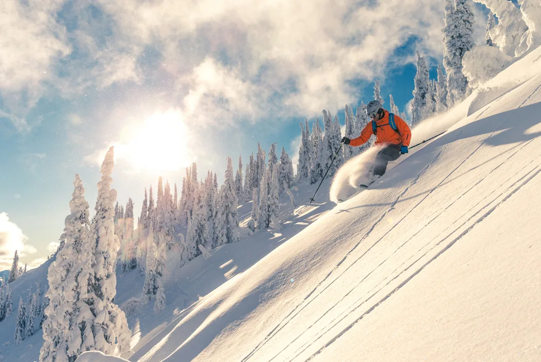 Skiers - A side shot of a downhill skier moving through powder with pine trees in the background along with a blue sky and sunshine