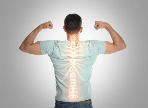 spine anatomy
